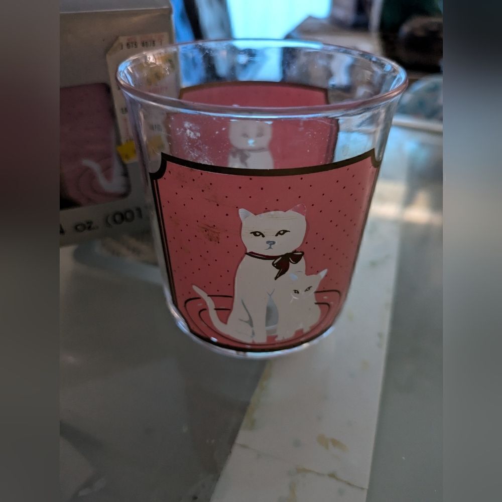 4 Acrylic Double Old Fashioned Glasses Tumblers Culver Encounters Country cat